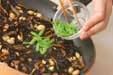 大豆とヒジキの煮物の作り方の手順7
