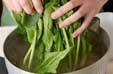 ほうれん草のお浸しの作り方3