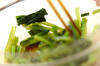 小松菜のカラシ和えの作り方の手順3