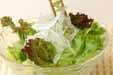 レタスと玉ネギのサラダの作り方の手順4