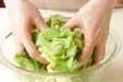 レタスと玉ネギのサラダの作り方3
