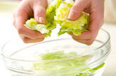 グリーンサラダの下準備1
