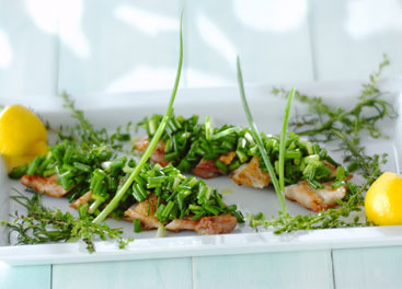 鶏肉のネギオリーブ油のせ