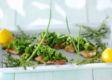 鶏肉のネギオリーブ油のせ