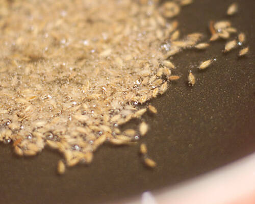 インド風カレーベースの作り方の手順1