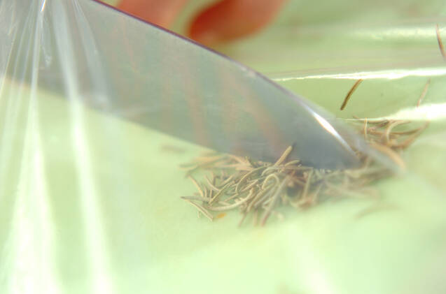 ジャガイモのハーブマヨ和えの作り方の手順2