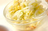 白菜のゴマ油風味和えの作り方2