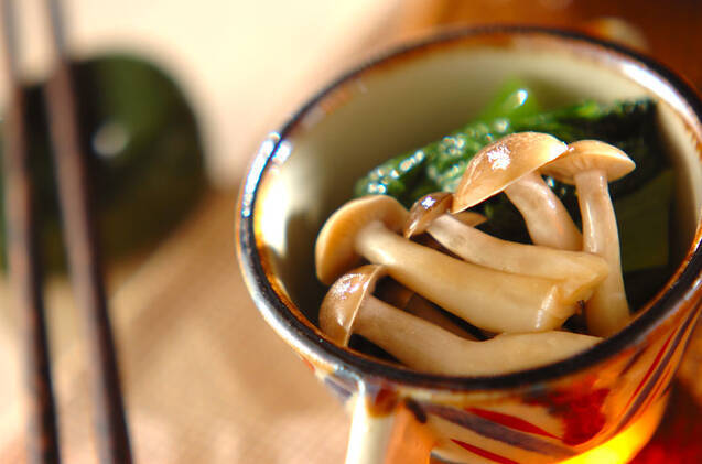 メインから副菜まで！小松菜を使った人気レシピ14選の画像
