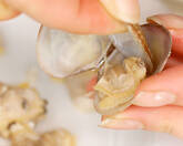 あさりの旨味！ボンゴレビアンコの作り方4