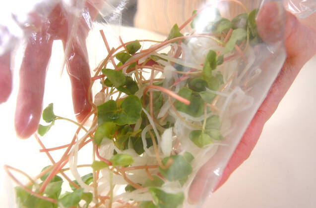 おそばのサラダの作り方の手順2