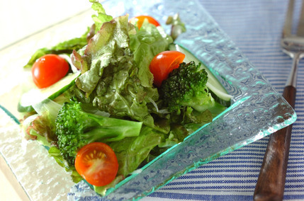 サニーレタスのサラダ