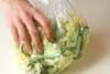 白菜の簡単マリネの作り方の手順3