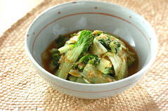 しろ菜のゴマ和え