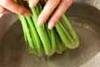 青菜のおひたしの作り方の手順1