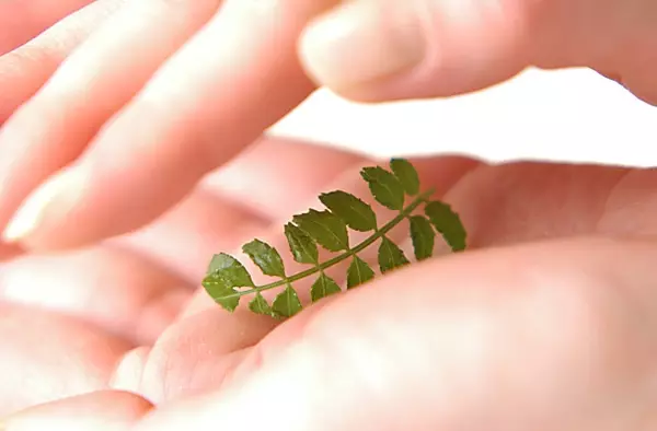 筍ご飯のポイント・コツ