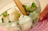 松の実と小松菜の混ぜご飯の作り方3