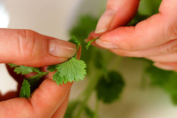 海老のカレー炒めの作り方の手順7