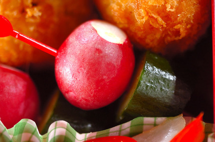 ラディッシュとキュウリ