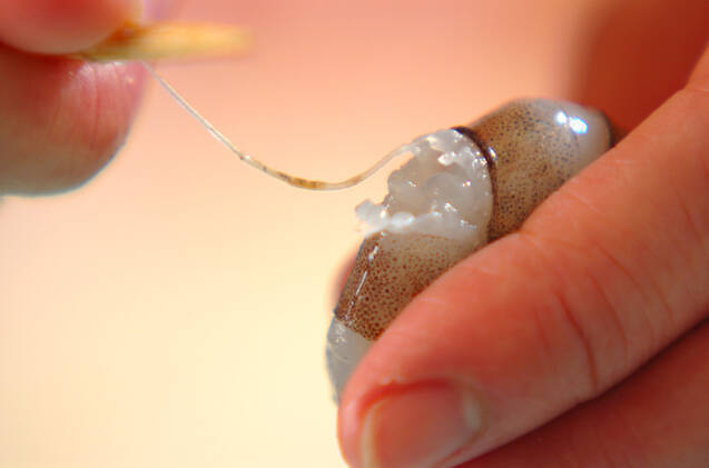 エビベーコンの作り方の手順1