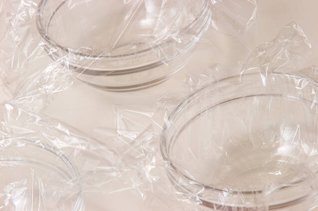 キラキラ梅寒天の作り方の手順1