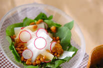 大根サラダ納豆ドレ