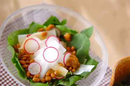 大根サラダ納豆ドレ