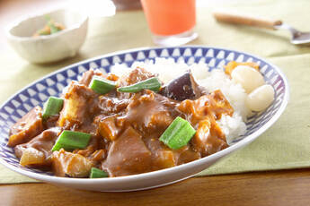 和風ナスカレー