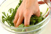春菊のサラダ 5分でできる！シンプルで簡単レシピ by横田 真未さんの下準備1