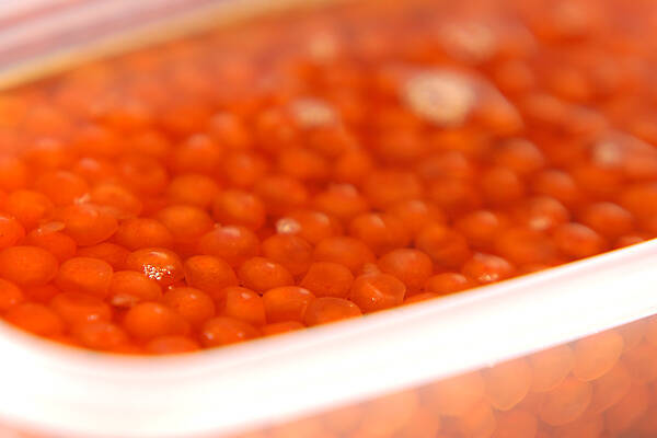 しょうゆイクラの作り方の手順4