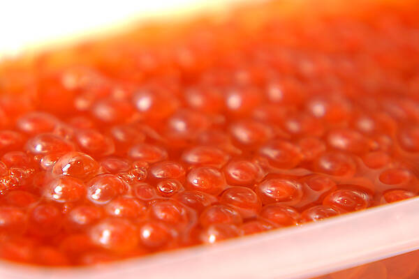 しょうゆイクラの作り方の手順4