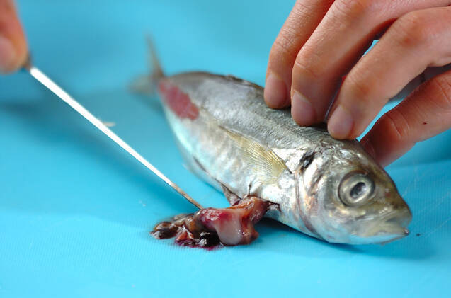 小アジのカレー南蛮漬けの作り方の手順1