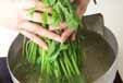 青菜のゴマ和えの作り方の手順1