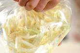 白菜のタラコマヨ和えの作り方1
