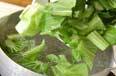 チンゲンサイのお浸しの作り方2