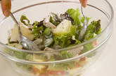 鶏ささ身のサラダの作り方3