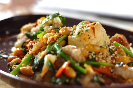 豚肉入り健脳炒り豆腐