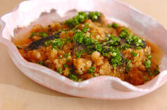 ふんわり柔らか！サバのさっぱりみぞれ煮