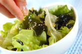 10分以内で作れる！簡単サラダ レタスとワカメのゴマ風味の作り方4