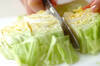 春キャベツの塩もみの作り方の手順1
