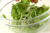 水菜とハムのサラダの作り方の手順1