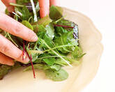 ミートパイプレートの作り方9