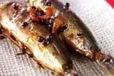 イワシの山椒風味煮