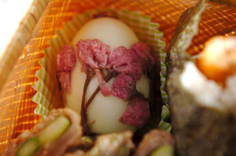 桜卵