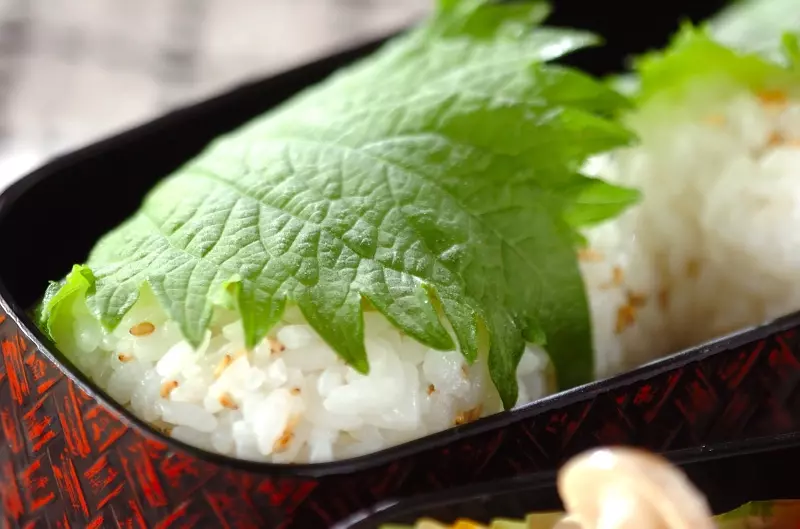 ゴマおにぎりの大葉巻き レシピ 作り方 E レシピ 料理のプロが作る簡単レシピ