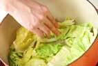 春キャベツと鶏肉の蒸し煮の作り方の手順5