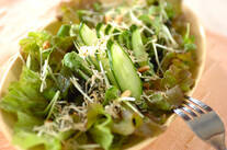 ジャコ豆腐サラダ