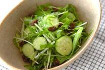 キュウリと水菜のサラダ
