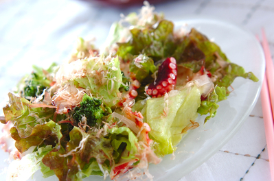 タコの和風サラダ 副菜 レシピ 作り方 E レシピ 料理のプロが作る簡単レシピ