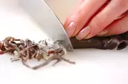しっとりおからの下準備4