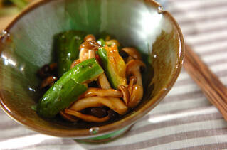 パリパリキュウリ